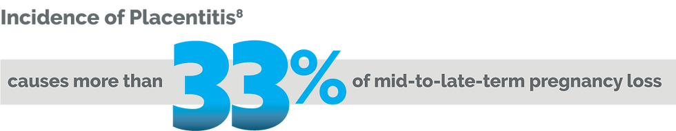 Incidence of Placentitis