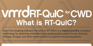 What is RT-QuIC? — INFOGRAPHIC