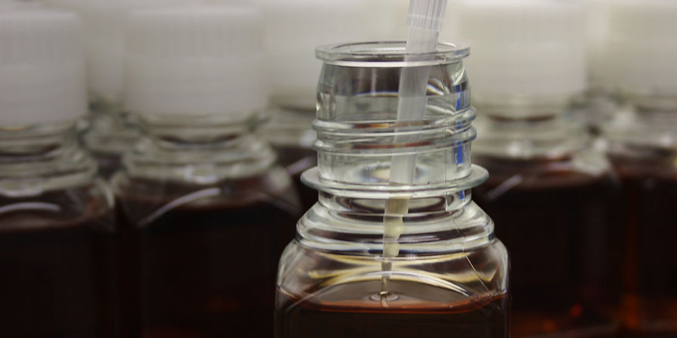 Sterility Testing