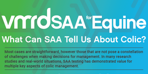 What Can SAA Tell Us About Colic? — INFOGRAPHIC