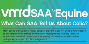 What Can SAA Tell Us About Colic? — INFOGRAPHIC