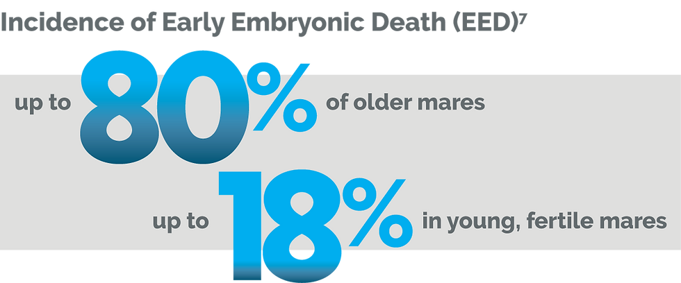 Incidence of Early Embryonic Death (EED)