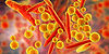 mycoplasma-2_1200x600.jpg