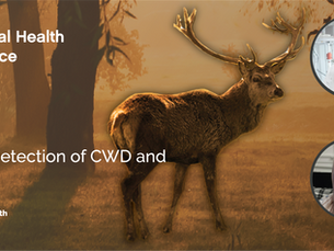 From Sample to Signal: Unlocking Ultra-Sensitive Detection of CWD and Other Prions with RT-QuIC