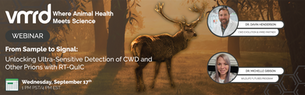 From Sample to Signal: Unlocking Ultra-Sensitive Detection of CWD and Other Prions with RT-QuIC