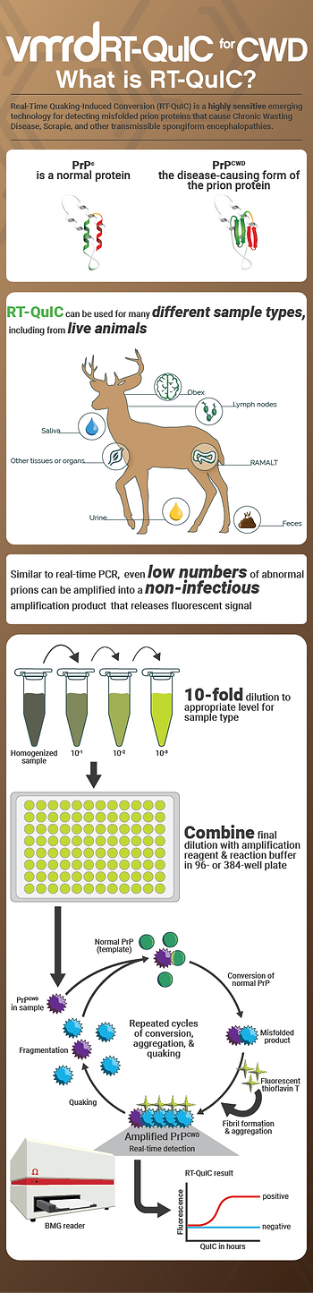 VMRD RT-QuIC for CWD infographic