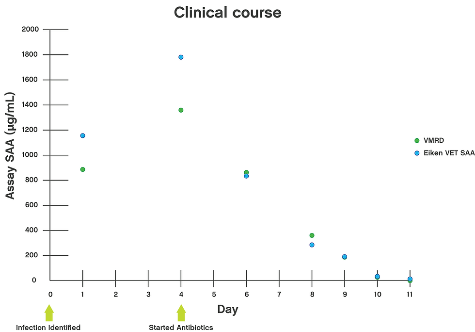 SAA after Acute Inflammatory Insults (graph)
